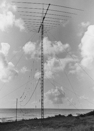 Two of these 150 foot long verticle log periodic antennas and 100 foot long horizontal log periodic antennas were assembled side by side on the beach.  You couldn't ask for a better ground plain!